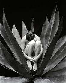 Nude in Cactus by Kim Weston
