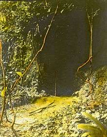 Magic lantern Image of a the entrance to the cave of the Ibini Ukpabi oracle at Arochukwu.
