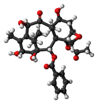 10-Deacetylbaccatin III molecule