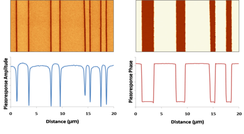 180° ferroelectric domains as imaged by PFM