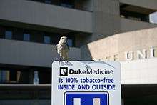 A Northern Mockingbird on top of a Duke University Hospital sign reading "Duke medicine is 100% tobacco-free INSIDE AND OUTSIDE" in Durham, North Carolina