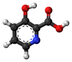 Ball-and-stick model of the 3-hydroxypicolinic acid molecule