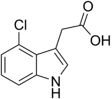 Skeletal formula of 4-chloroindole-3-acetic acid