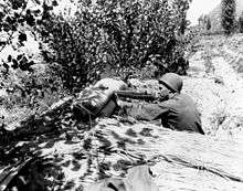A soldier hides in some bush, aiming at a target off-camera