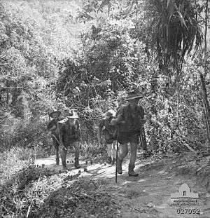 Soldiers march along a jungle track