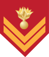 Insignia of a Hellenic Land Army Sergeant belonging to the Infantry Command, who is a long-term volunteer or a professional hoplite.