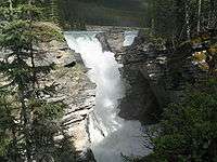 Athabasca Falls 2005-06-11.jpeg