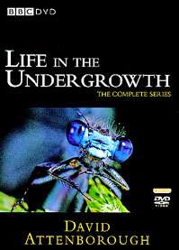 Life in the Undergrowth DVD cover