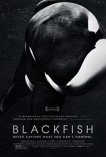 Black-and-white picture of an orca (killer whale) with the title Blackfish and credits underneath