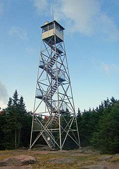 A steel frame tower with a staircase climbing the inside and an enclosed cab on top in front of a stand of evergreen trees