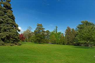 View of the arboretum grounds.