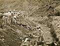 Bodo League massacre mass grave US ARMY 1950.jpg