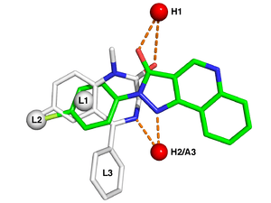 Superposition of the chemical structures of a benzodiazepine and nonbenzodiazepine ligand and their interactions with binding sites within the receptor.