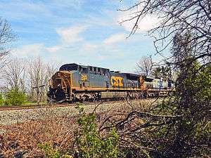 A blue diesel locomotive, with "CSX" in blue letters on its yellow front, pulling along a railroad track. In the foreground are trees and shrubs growing near the rails.