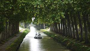 A speedboat sails along a narrow river surrounded by a trail and trees on both of its sides.