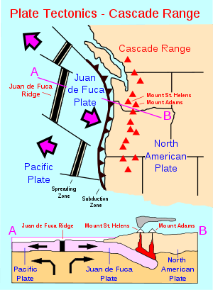 Map showing black vertical bars set in a blue field with their ends connected by thin lines. A contoured line with sharp bumps point toward a nearby coastline. In between is the label "Juan de Fuca Plate."