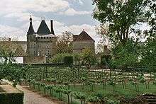 Château de Talcy (Loir et Cher)