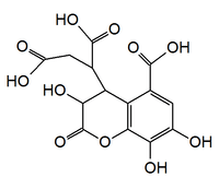 Chebulic acid, according to Klika, 2004.