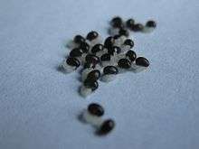 Chelidonium majus diaspores consisting of hard-coated seeds and attached elaiosomes.