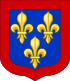 Coat of arms of the dukes of Anjou