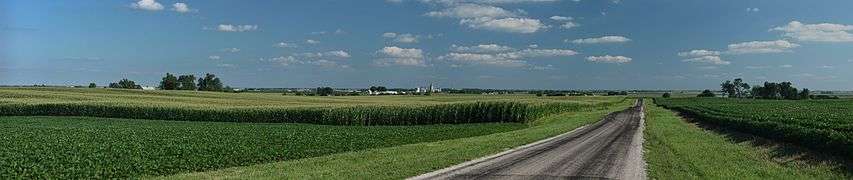 Corn fields near Royal, Illinois