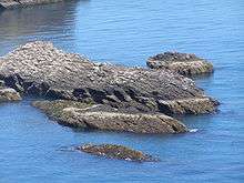 A low-lying skerry made of dark rocks and covered with seabird droppings sits in a blue sea.
