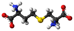 Ball-and-stick model of the cystathionine molecule as a zwitterion
