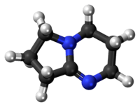 DBN molecule