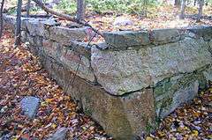 A stone retaining wall with dead leaves on top and bottom