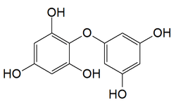 Chemical structure of diphlorethol