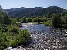 Photo of mountain stream-typical cutthroat trout habitat