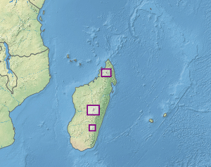 Map showing location of ericoid thickets on high massifs in Madagascar