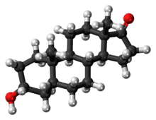 Ball-and-stick model of the etiocholanolone molecule