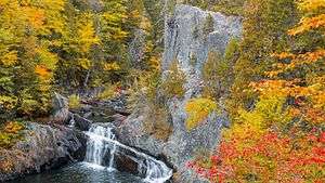 Yellow to red fall foliage overlooking a dramatic cliff with a waterfall at its base.