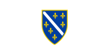 White flag with blue-and-gold fleur-de-lis crest in center