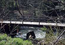 A wooden footbridge with handrails on both sides crosses a small stream in a wooded area. Under the bridge a large boulder protrudes well above the water.