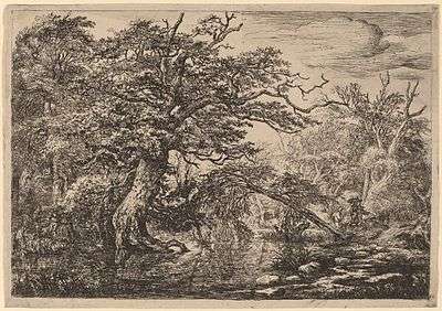 Etching of a dense forest scene