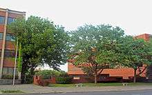 Two trees along a street between two modern brick buildings. Behind them and the sidewalk there is an open area