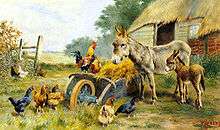 Adult and baby donkey being addressed by a rooster standing on a wheelbarrow full of hay, with ten hens watching