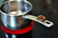 A frog sitting on the handle of a saucepan, which is sitting on an electric hob, which is glowing red.