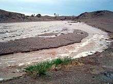 muddy stream in Gobi desert with grass in foreground and desert in background