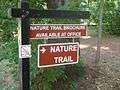 Harrisville state park trail 01.jpg