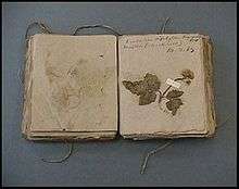 Eaton's Herbarium, published in 1830, including one hundred and eleven specimens labeled in his handwriting.