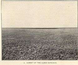 A black and white picture of the barren and level plain of the Llano Estacado in 1900 with sparse natural grass.