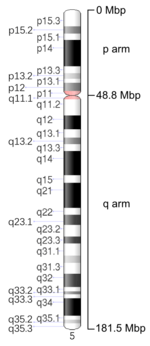 Map of Chromosome 5