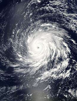 A satellite image depicting a mature hurricane with a well-developed eye and astounding spiral banding.