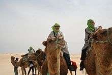David Eicher riding a camel through the Sahara Desert in Tunisia, 2011.