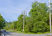 A road in a wooded area with another road going off to the right. There are tall trees and dense underbrush on the corner opposite. Telephone poles line the right side, and two cars are approaching in the distance.