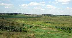 Corn and soybean fields and pastures on rolling, hilly terrain.