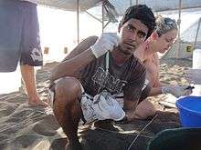 Jairo Mora Sandoval crouches on a beach partitioned for a conservation survey
